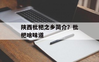 陕西枇杷之乡简介？枇杷啥味道