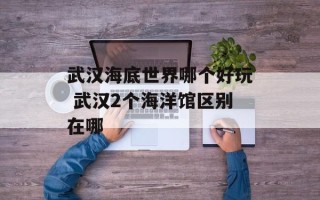 武汉海底世界哪个好玩 武汉2个海洋馆区别在哪