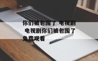 你们被包围了 电视剧 电视剧你们被包围了免费观看