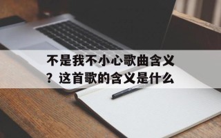 不是我不小心歌曲含义？这首歌的含义是什么