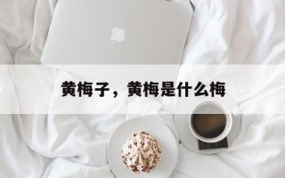 黄梅子，黄梅是什么梅