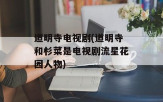 道明寺电视剧(道明寺和杉菜是电视剧流星花园人物)