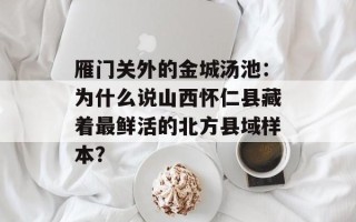 雁门关外的金城汤池：为什么说山西怀仁县藏着最鲜活的北方县域样本？