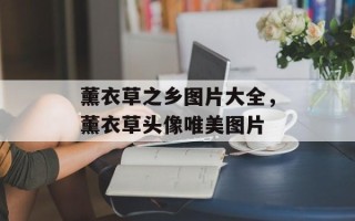 薰衣草之乡图片大全，薰衣草头像唯美图片