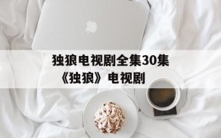 独狼电视剧全集30集 《独狼》电视剧