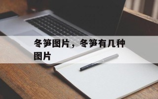 冬笋图片，冬笋有几种图片