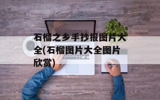 石榴之乡手抄报图片大全(石榴图片大全图片欣赏)