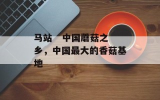 马站   中国蘑菇之乡，中国最大的香菇基地