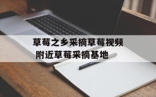 草莓之乡采摘草莓视频 附近草莓采摘基地