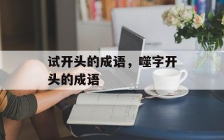 试开头的成语，噬字开头的成语