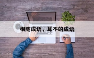 相随成语，耳不的成语