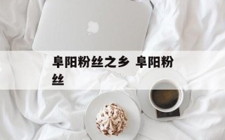 阜阳粉丝之乡 阜阳粉丝