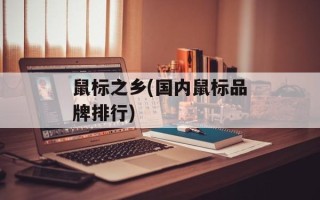鼠标之乡(国内鼠标品牌排行)