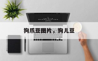 狗爪豆图片，狗儿豆
