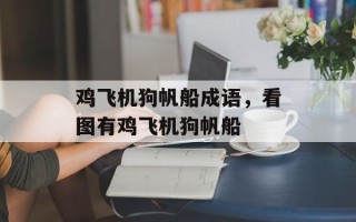 鸡飞机狗帆船成语，看图有鸡飞机狗帆船