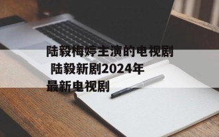 陆毅梅婷主演的电视剧 陆毅新剧2024年最新电视剧