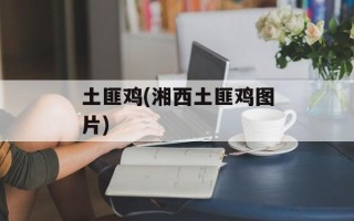土匪鸡(湘西土匪鸡图片)