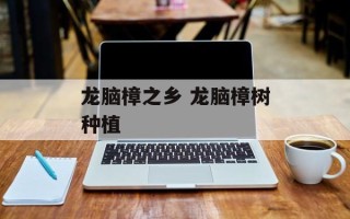 龙脑樟之乡 龙脑樟树种植
