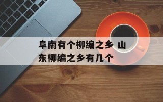 阜南有个柳编之乡 山东柳编之乡有几个
