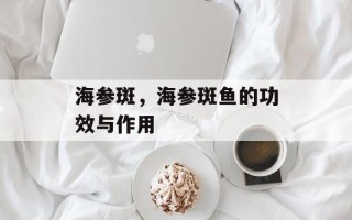 海参斑，海参斑鱼的功效与作用