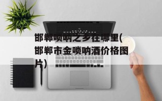 邯郸唢呐之乡在哪里(邯郸市金唢呐酒价格图片)