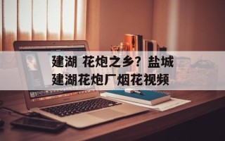建湖 花炮之乡？盐城建湖花炮厂烟花视频
