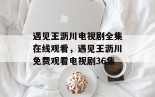 遇见王沥川电视剧全集在线观看，遇见王沥川免费观看电视剧36集