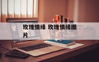 玫瑰情缘 玫瑰情缘图片