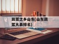 蔬菜之乡山东(山东蔬菜大县排名)