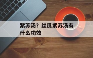 紫苏汤？丝瓜紫苏汤有什么功效