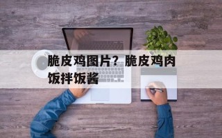 脆皮鸡图片？脆皮鸡肉饭拌饭酱