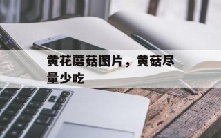 黄花蘑菇图片，黄菇尽量少吃
