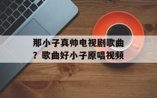 那小子真帅电视剧歌曲？歌曲好小子原唱视频