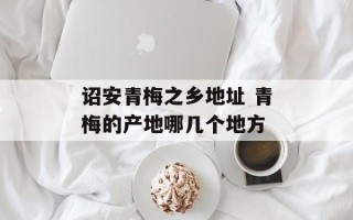 诏安青梅之乡地址 青梅的产地哪几个地方