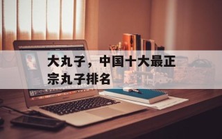 大丸子，中国十大最正宗丸子排名