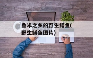 鱼米之乡的野生鳝鱼(野生鳝鱼图片)