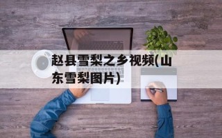 赵县雪梨之乡视频(山东雪梨图片)