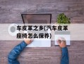 车皮革之乡(汽车皮革座椅怎么保养)