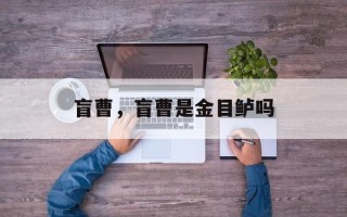 盲曹，盲曹是金目鲈吗