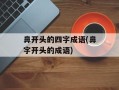 鼻开头的四字成语(鼻字开头的成语)