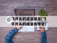 飞开头的成语接龙(飞字开头的成语有哪些)