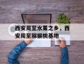 西安周至水果之乡，西安周至猕猴桃基地