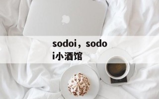 sodoi，sodoi小酒馆