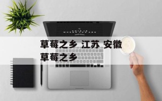 草莓之乡 江苏 安徽草莓之乡
