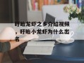 盱眙龙虾之乡介绍视频，盱眙小龙虾为什么出名