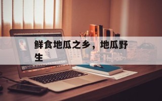 鲜食地瓜之乡，地瓜野生