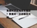 黄果树景区观光车顺序？黄果树一日游最佳攻略