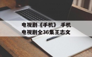 电视剧《手机》 手机电视剧全36集王志文