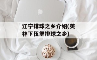辽宁排球之乡介绍(英林下伍堡排球之乡)