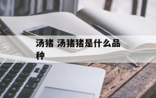 汤猪 汤猪猪是什么品种